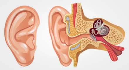 Benign Positional Vertigo Market