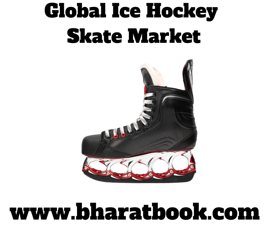 Global Ice Hockey Skate Industry Market Outlook 2019-2024