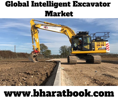 Global Intelligent Excavator Industry Market Outlook 2019-2024