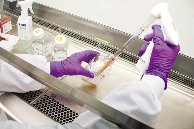 Conjugate vaccines Market