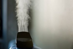 Portable Humidifier Market