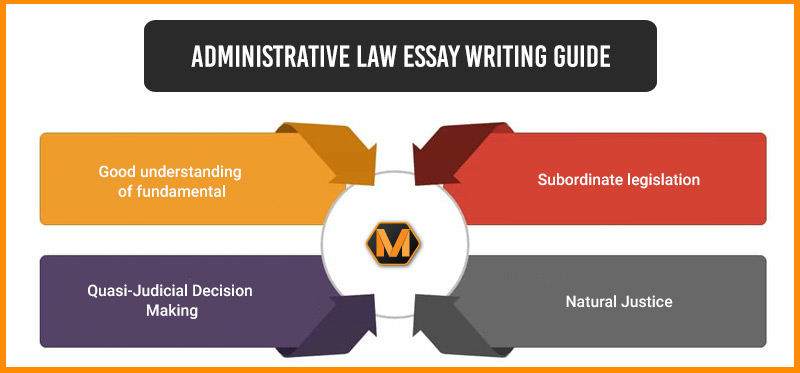 A Quick Guide to Write an Excellent Administrative Law Essay