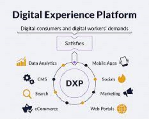 Digital Experience Platform Market