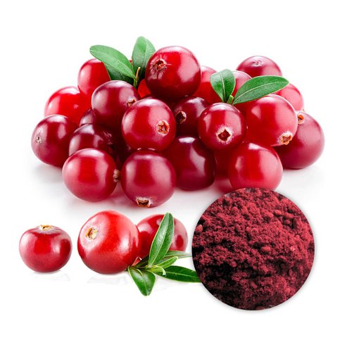 Cranberry Extract market