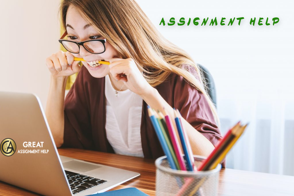 Online Assignment Help