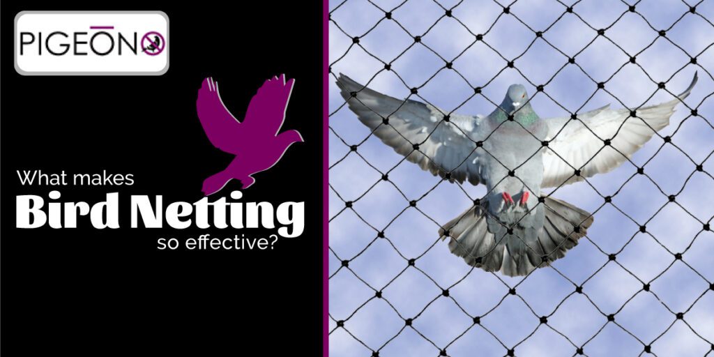 What makes Bird Netting so effective
