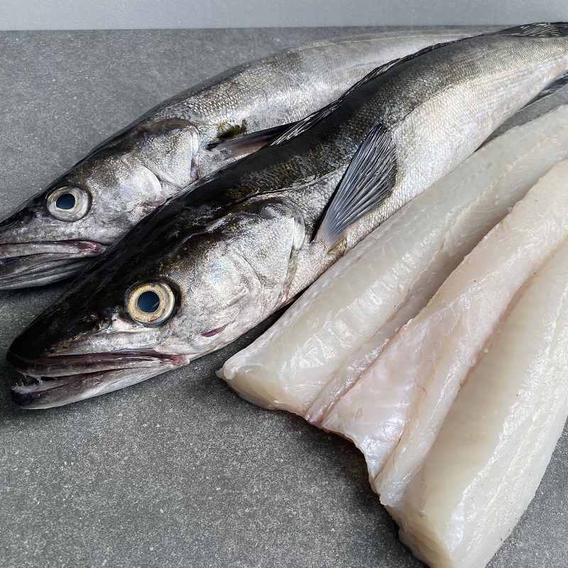 Pacific Hake Fillets For Sale