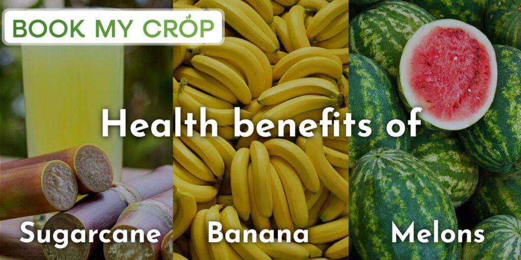 Health benefits of Sugarcane, Bananas and Melons