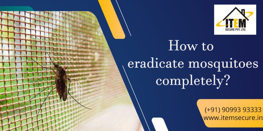 How to eradicate mosquitoes completely?