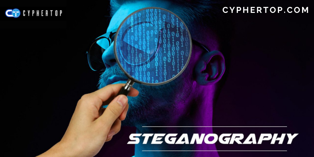 Steganography Software