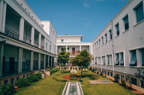 Thames International College