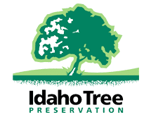 Tree Service Boise