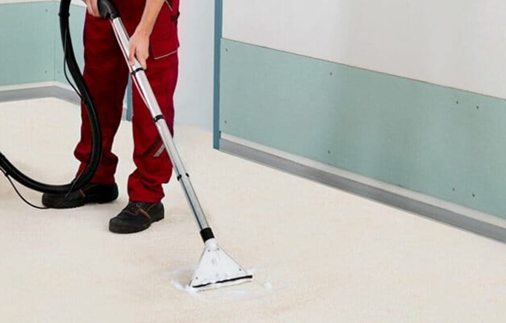 professional carpet cleaning services