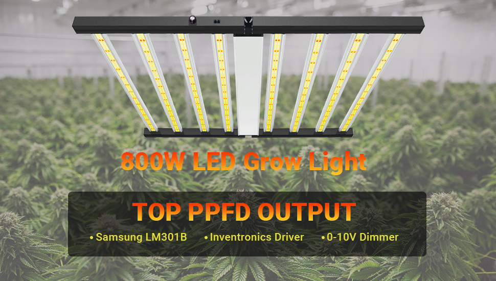 grow light LED full spectrum