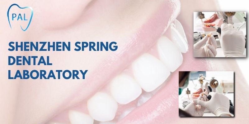 dental laboratory in china