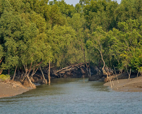 Sundarban Tour Package