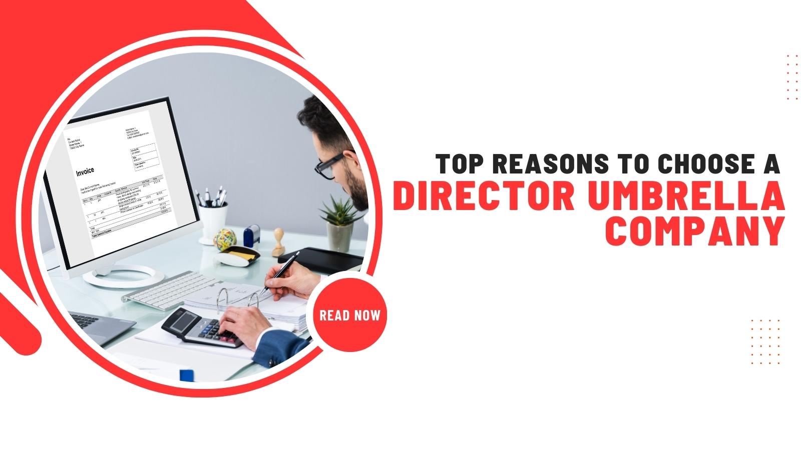 Top Reasons to Choose a Director Umbrella Company