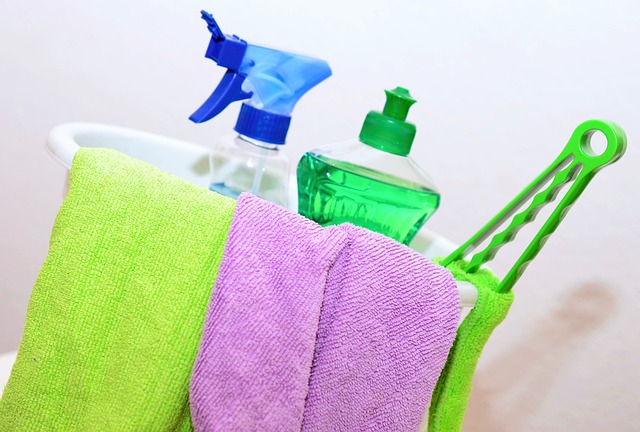 home cleaning products market