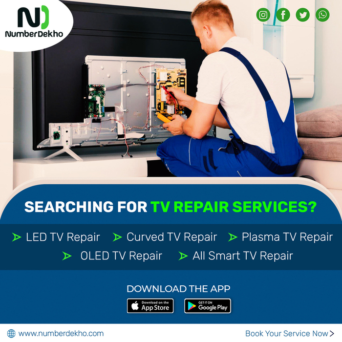 TV Repair Service
