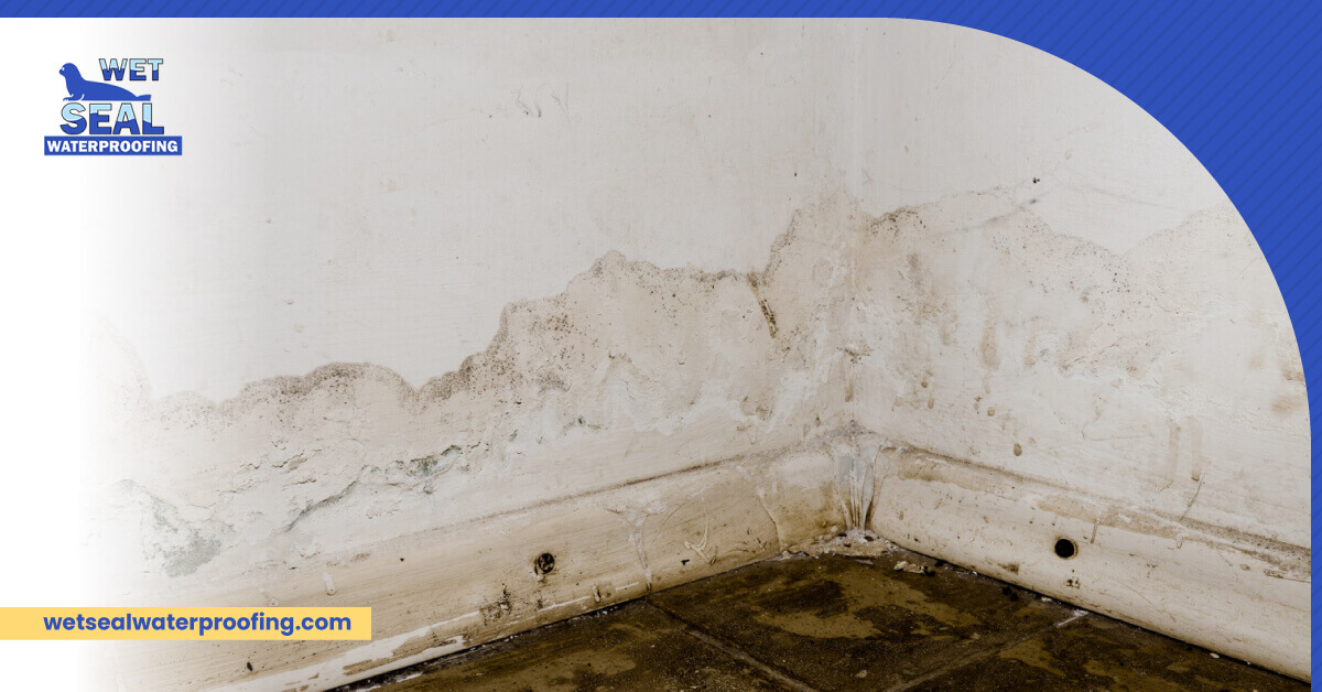 Avoid Basement Water Damage in Atlanta Homes