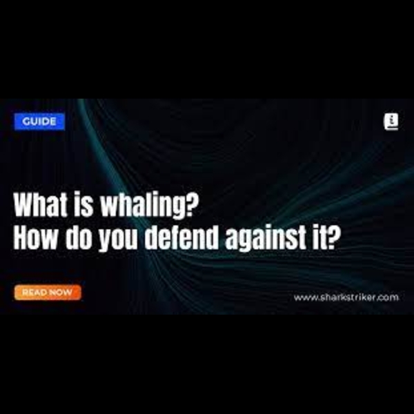 "What is a whaling attack? " prevent whaling attacks "10 measures to prevent whaling attacks " whaling attack in cyber security