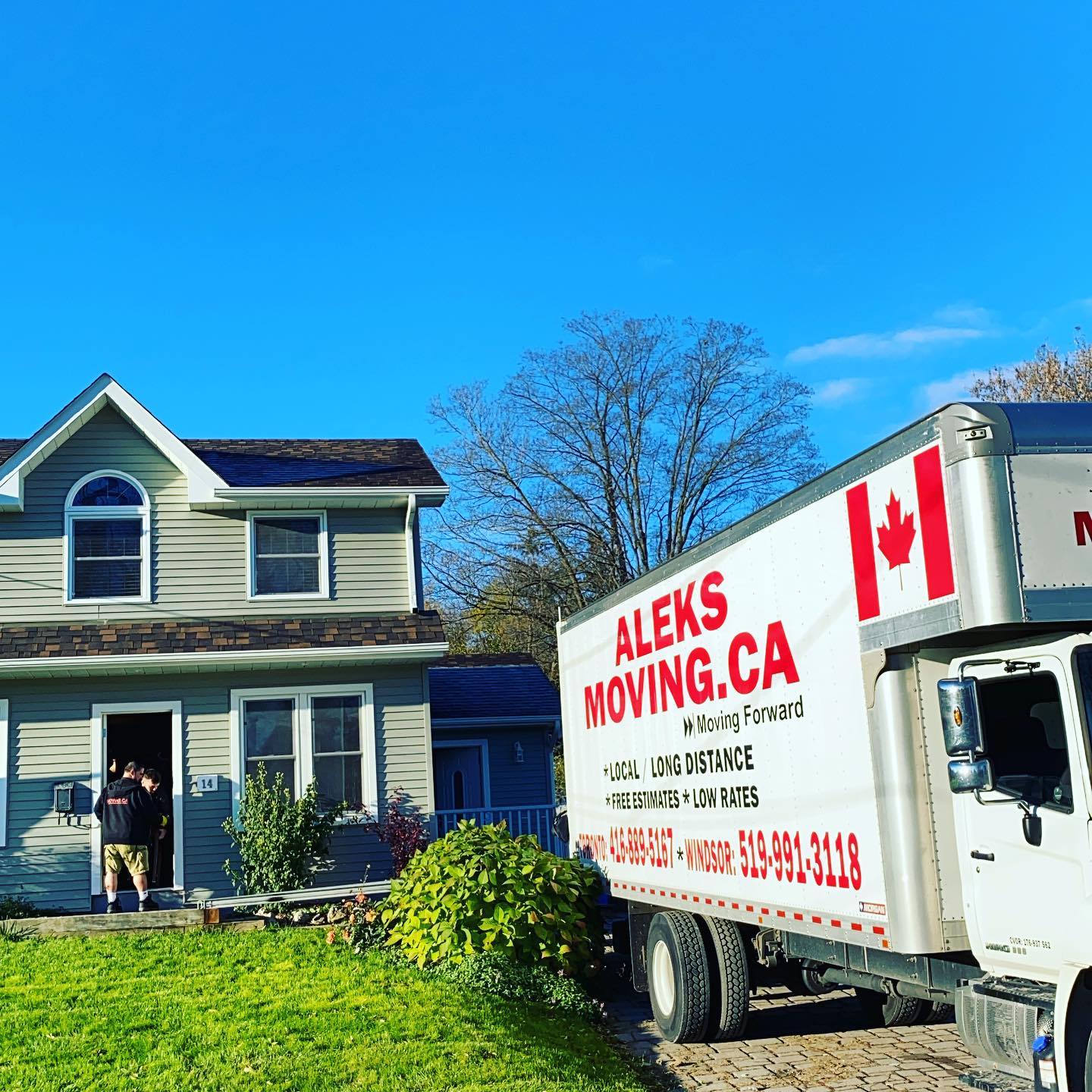 office movers Hamilton