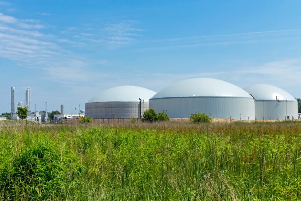 Biogas Production From Organic Waster