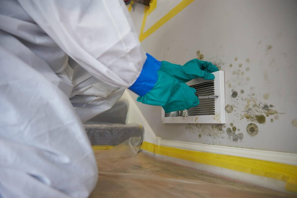 mold remediation Houston TX