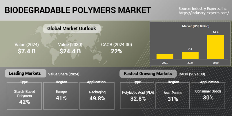 Global Biodegradable Polymers Market