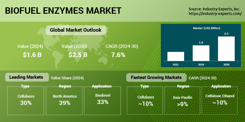 Global Biofuel Enzymes Market