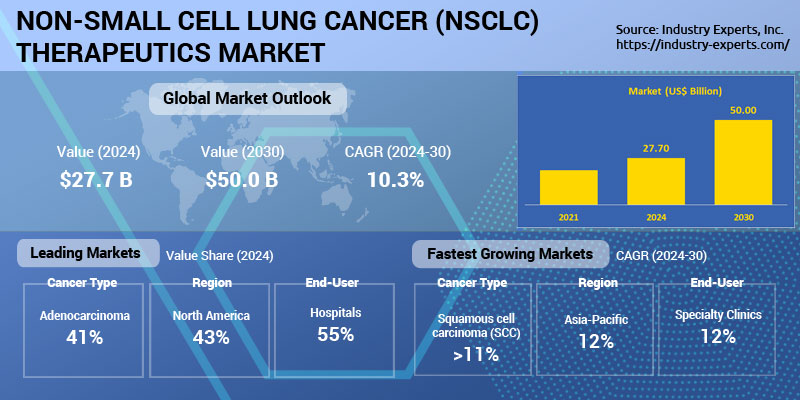 Global Non-Small Cell Lung Cancer (NSCLC) Therapeutics Market