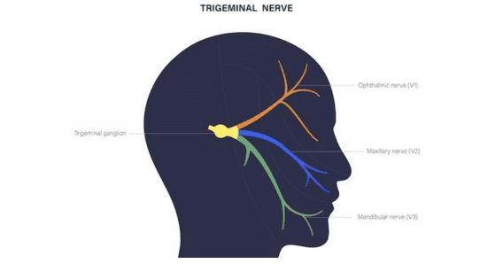 Achieving Long-term Pain Relief for Trigeminal Neuralgia (Suicide Disease) Expert Insights