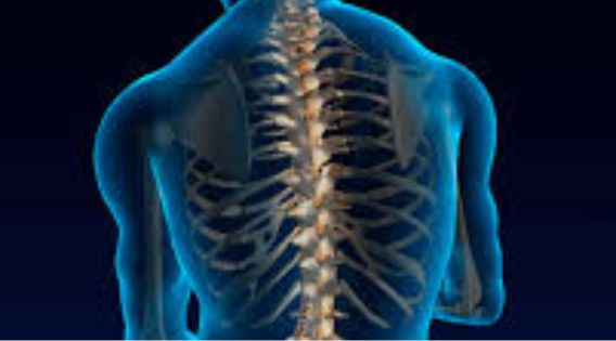 Leading Neurosurgeon in Kolkata with Global Recognition