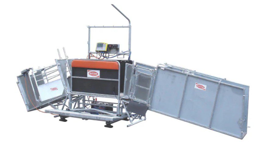 cattle mineral feeders